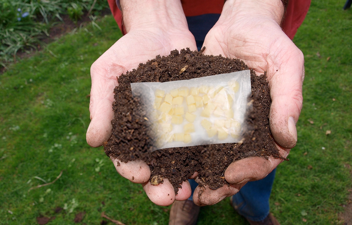 Packaging compostabile Intergrana morsicato, pronto per il compost
