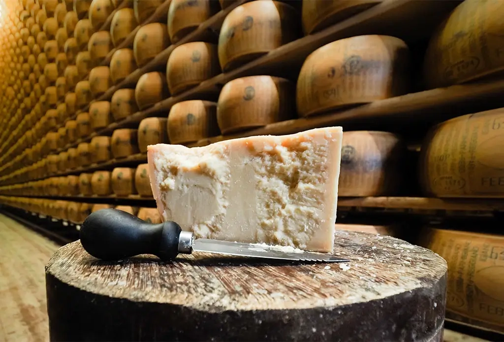 Cosa rende unico il formaggio italiano in formato pronto per l industria